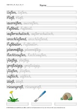 DSS_2S_Bu_ß_Nr_07.pdf